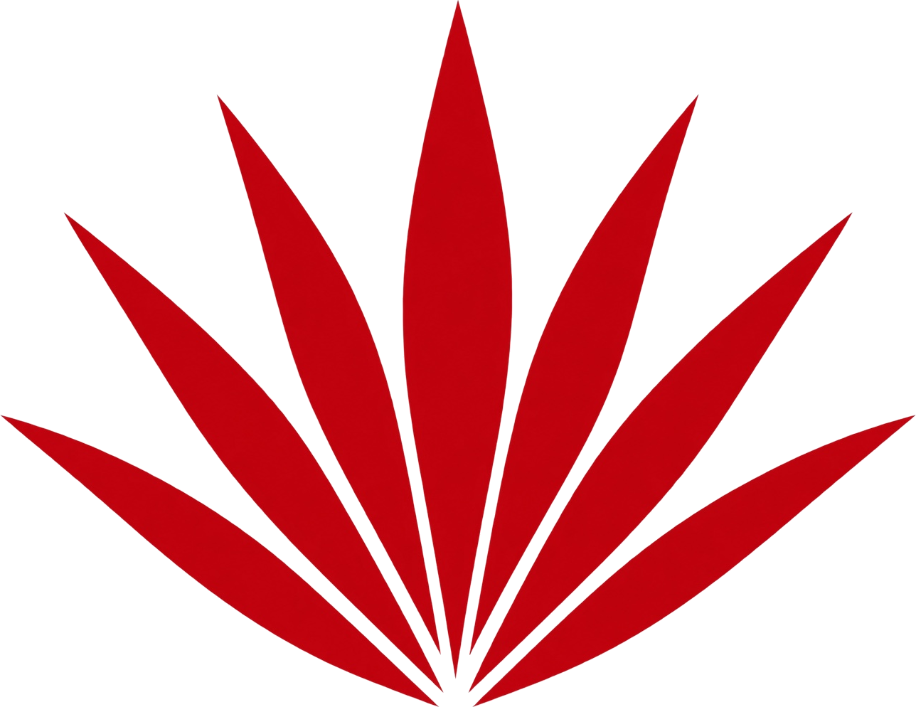 Logo Cielo Rojo